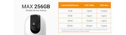 بطاقة ذاكرة Micro SD سعة 256 جيجابايت من Imou بطاقة ذاكرة Micro SD سعة 256 جيجابايت من Imou